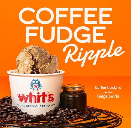 Coffee Fudge Ripple